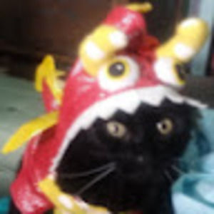 Meet your Posher, Monica